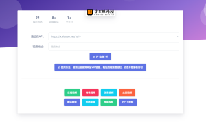 VIP视频解析网站源码-小8源码屋